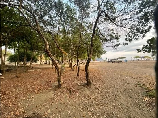 Jaco Luxury Ocean Front Lot