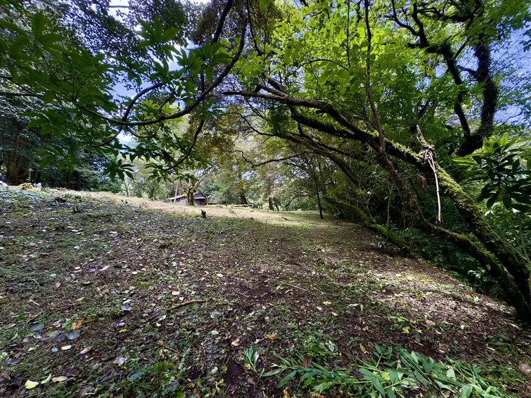 Lot for sale in San Rafael de Heredia, photo 9