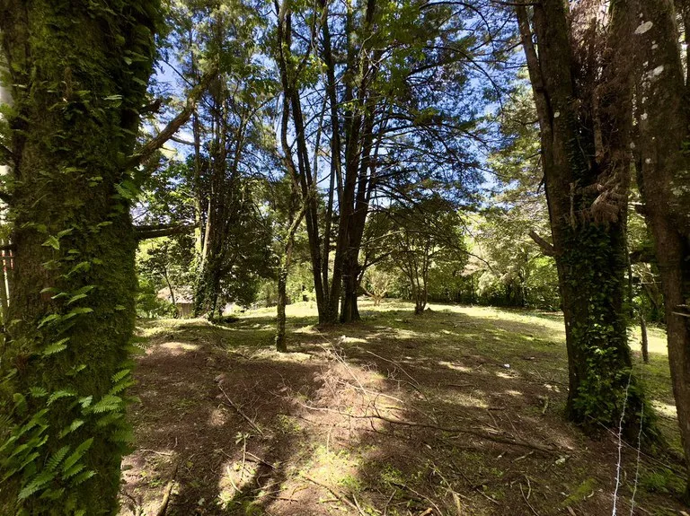 Lot for sale in San Rafael de Heredia, photo 10