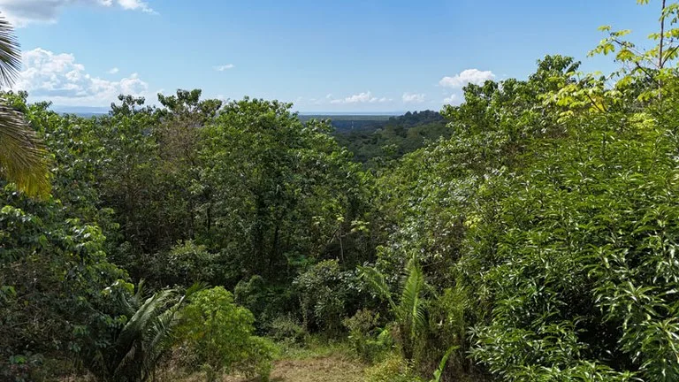 Gorgeous Ocean View Acreage in San Buenas, photo 2