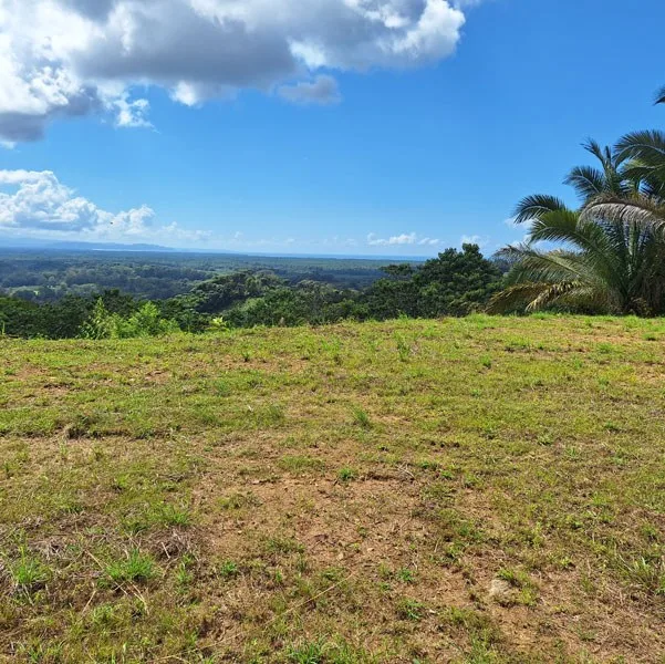 Gorgeous Ocean View Acreage in San Buenas, photo 3
