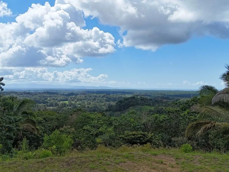 Gorgeous Ocean View Acreage in San Buenas, photo 4