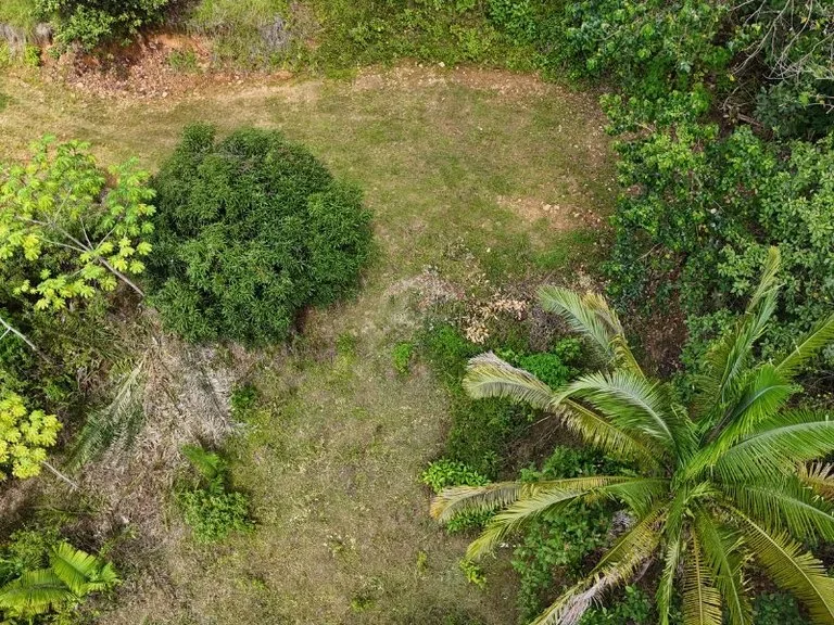 Gorgeous Ocean View Acreage in San Buenas, photo 5