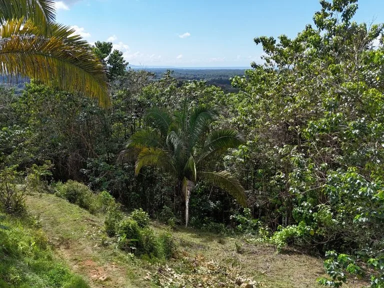 Gorgeous Ocean View Acreage in San Buenas, photo 6