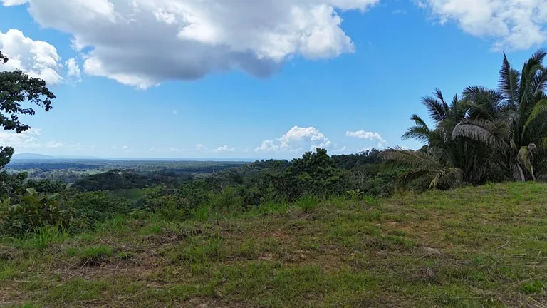 Gorgeous Ocean View Acreage in San Buenas, photo 8
