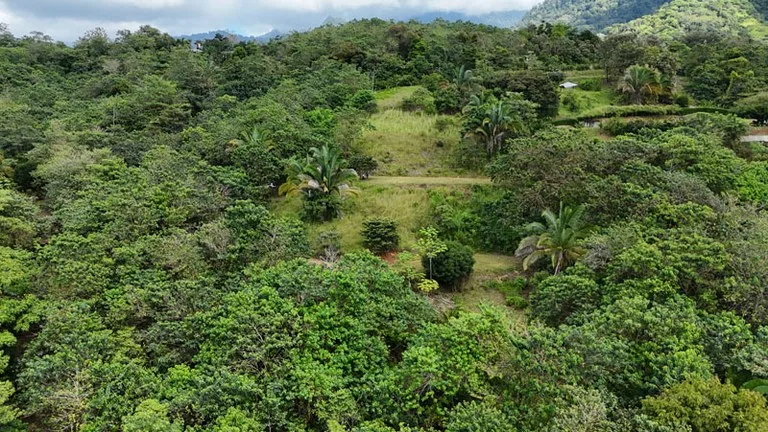 Gorgeous Ocean View Acreage in San Buenas, photo 10