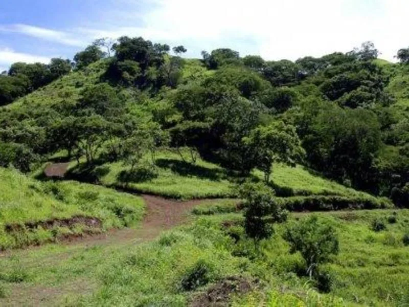 Land For Sale in Playas Del Coco, photo 2