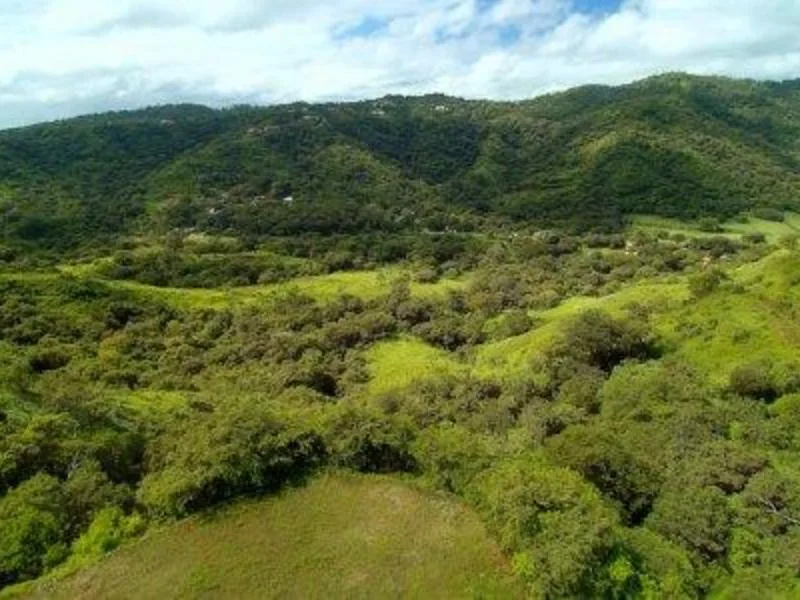 Land For Sale in Playas Del Coco, photo 10