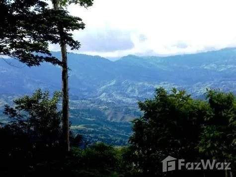 Land for Sale in Perez Zeledon, San Jose for $199,900, photo 2