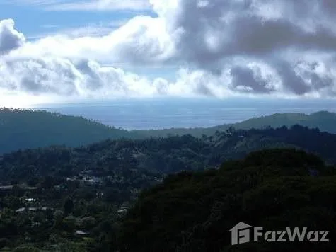 Land for Sale in Perez Zeledon, San Jose for $199,900, photo 5