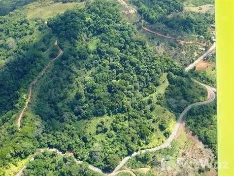 Land for Sale in Perez Zeledon, San Jose for $199,900, photo 6