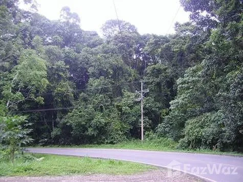 Land for Sale in Perez Zeledon, San Jose for $199,900, photo 7