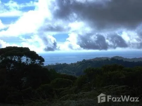 Land for Sale in Perez Zeledon, San Jose for $199,900, photo 8