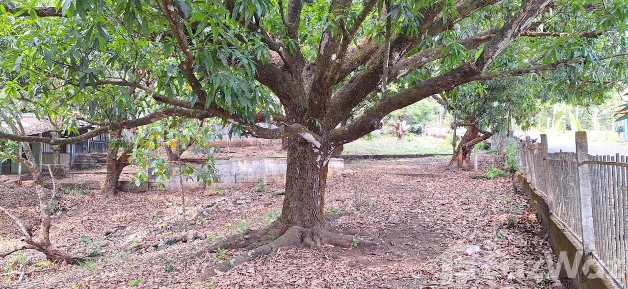 Land for Sale in Turrubares, San Jose for $80,000, photo 4