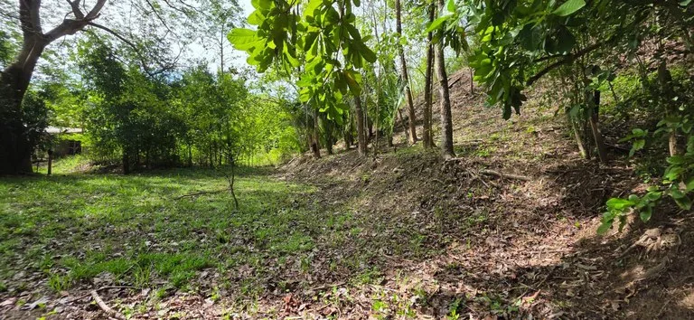 Lote Ceiba: Beautiful Peaceful Lot Near Barrigona Beach
