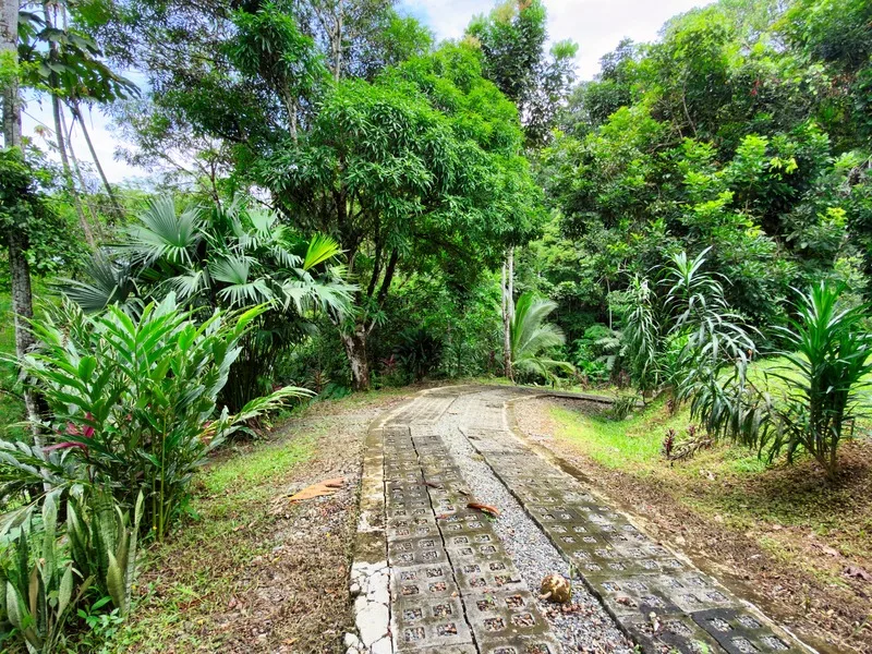 2 Bed Single Family Homes For Sale in Puerto Viejo, photo 4