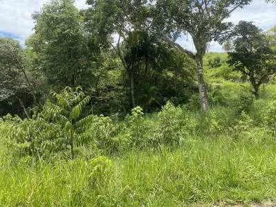 Lote Asequible En Comunidad Privada, photo 5
