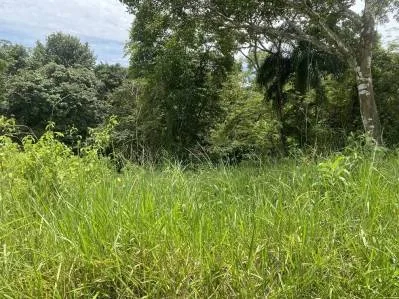Lote Asequible En Comunidad Privada, photo 7