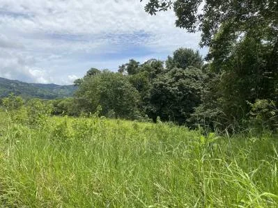 Lote Asequible En Comunidad Privada, photo 8