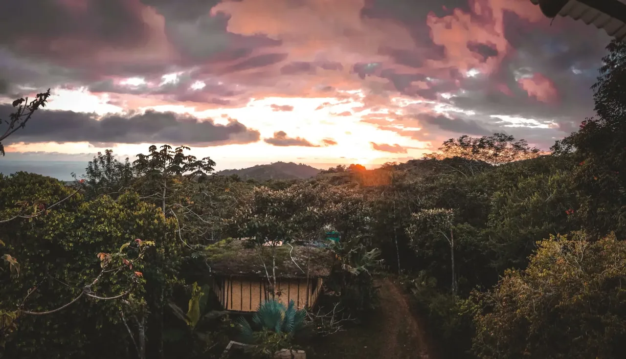 Descubra este excepcional eco-alojamiento, un santuario diseñado para una vida en armonía con la naturaleza. ..., photo 5