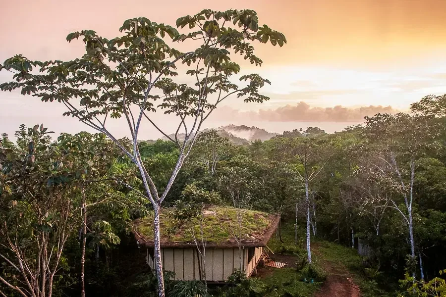 Descubra este excepcional eco-alojamiento, un santuario diseñado para una vida en armonía con la naturaleza. ..., photo 10