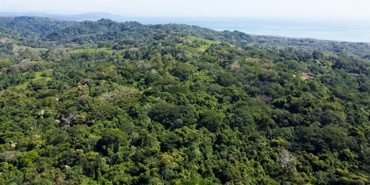 Prime development land with panoramic ocean and jungle views, 400,000 m² lot near Cabuya and Malpaís, utilities included, ideal for investment, Puntarenas, Costa Rica.