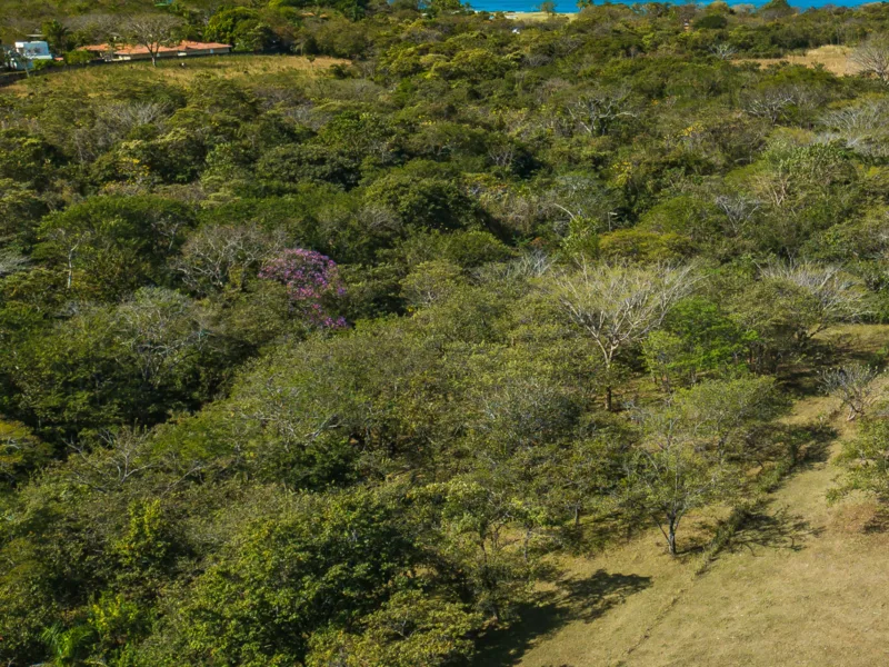 Land For Sale in Junquillal, photo 4