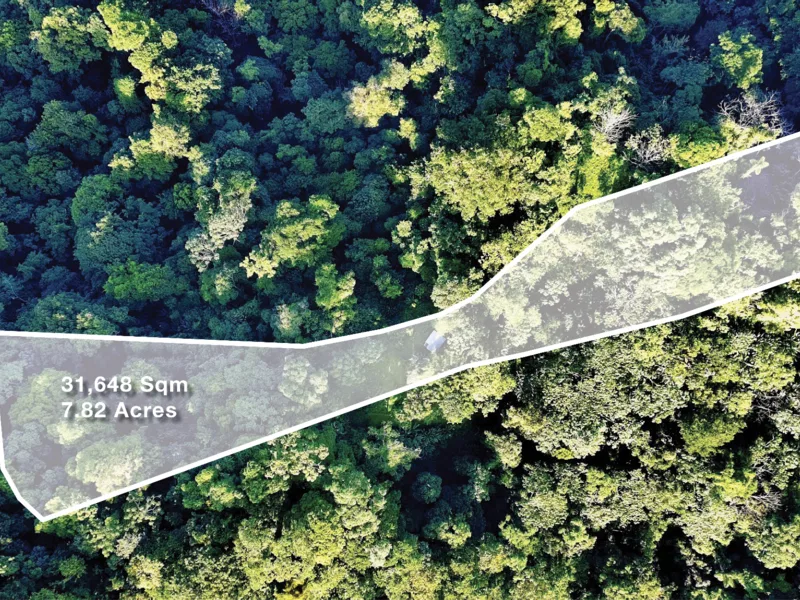 Land For Sale in Cahuita, photo 2