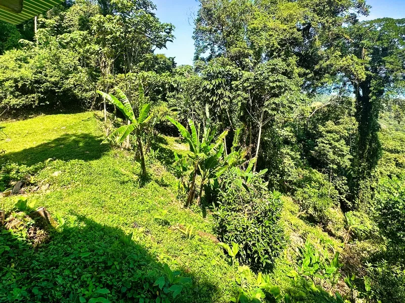 Land For Sale in Cahuita, photo 5
