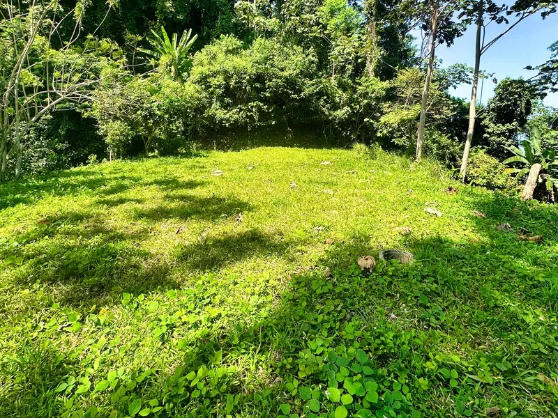 Land For Sale in Cahuita, photo 6