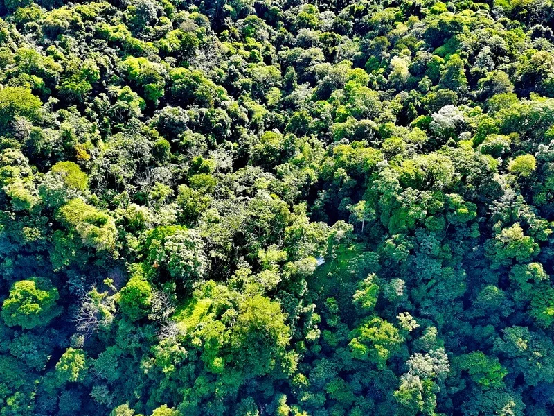 Land For Sale in Cahuita, photo 8