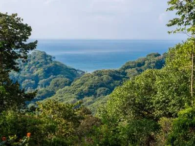 Rara Finca De 86 Acres Con Vista Al Mar Bordeando Hacienda Barú
