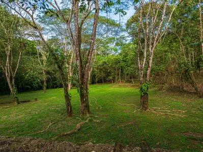 Rara Finca De 86 Acres Con Vista Al Mar Bordeando Hacienda Barú, photo 9