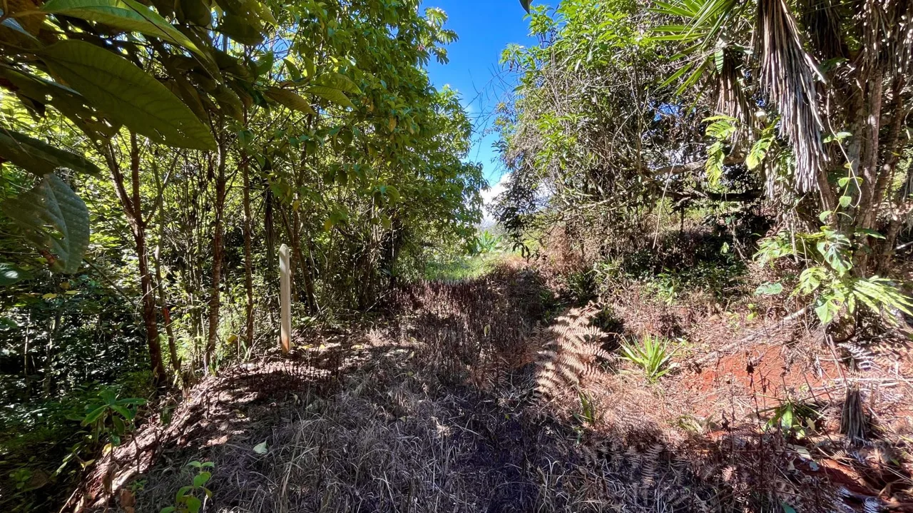 Property for Sale in Perez Zeledon: Spacious Residential Lot near San Isidro Downtown, photo 14