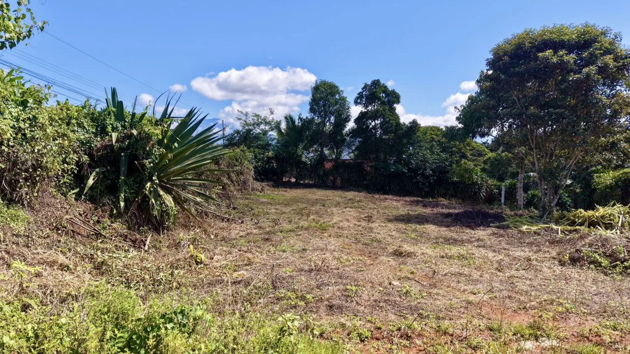 Property for Sale in Perez Zeledon: Spacious Residential Lot near San Isidro Downtown, photo 3
