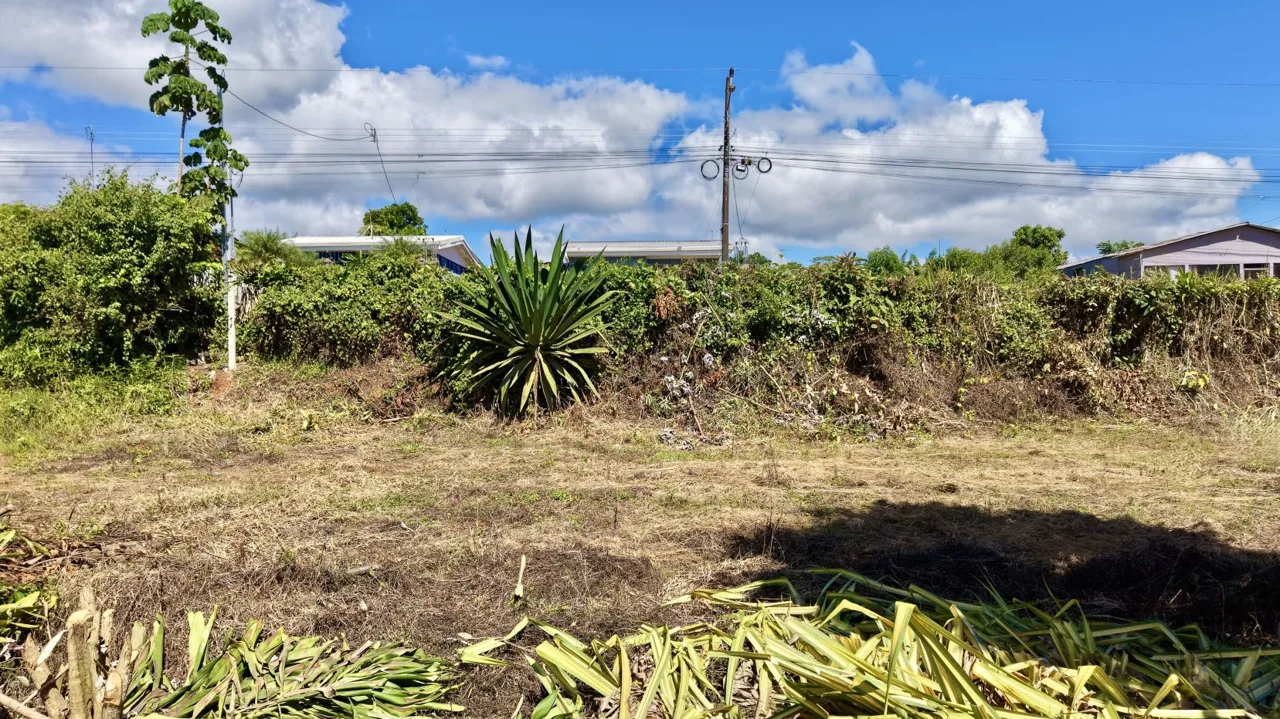 Property for Sale in Perez Zeledon: Spacious Residential Lot near San Isidro Downtown, photo 7
