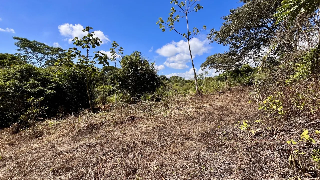 Property for Sale in Perez Zeledon: Spacious Residential Lot near San Isidro Downtown, photo 9