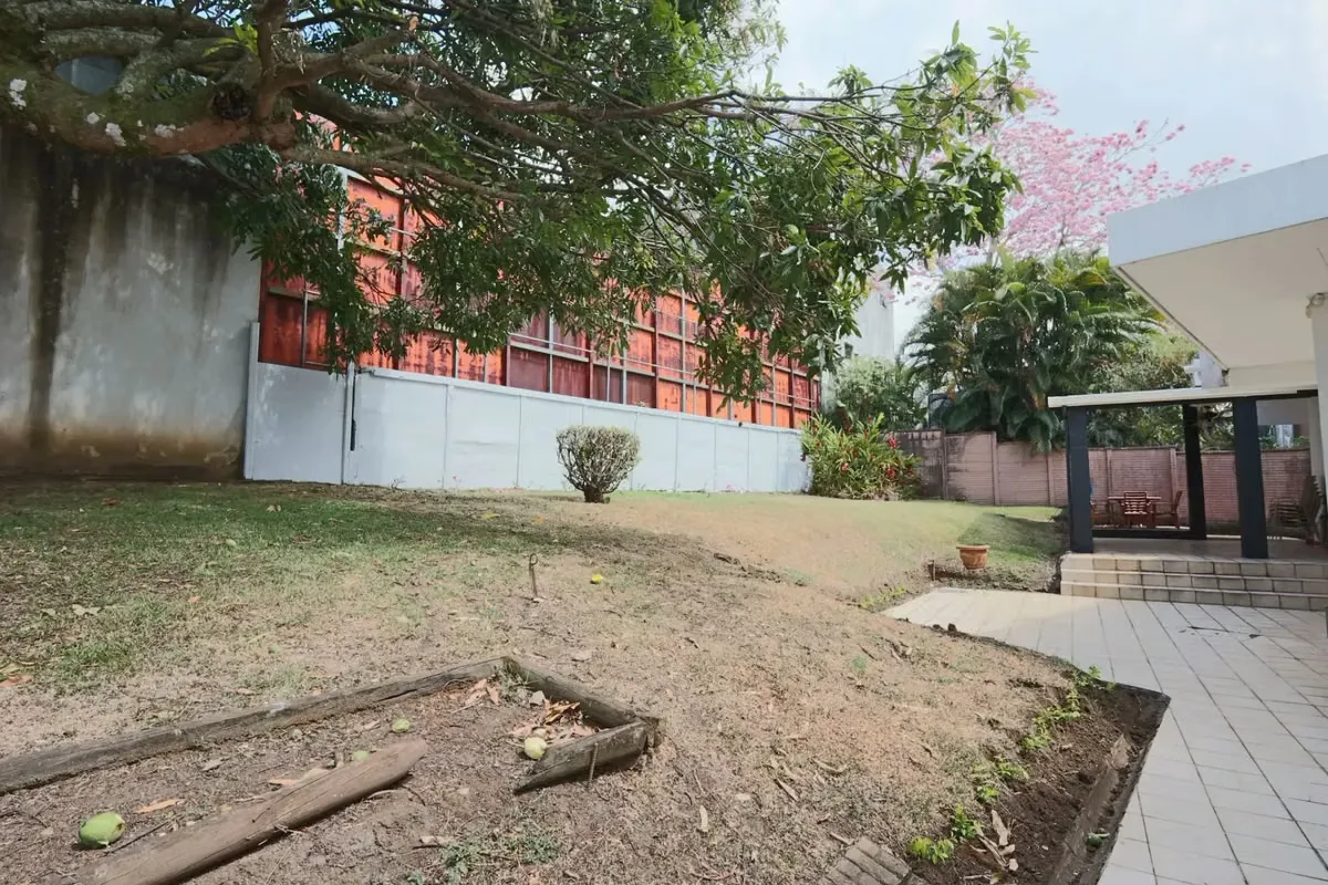 Corporate Office for Rent – Sabana Oeste, Barrio Holanda, photo 11