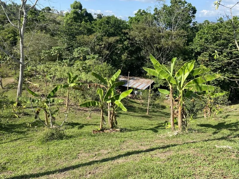 Land For Sale in Perez Zeledon, photo 11