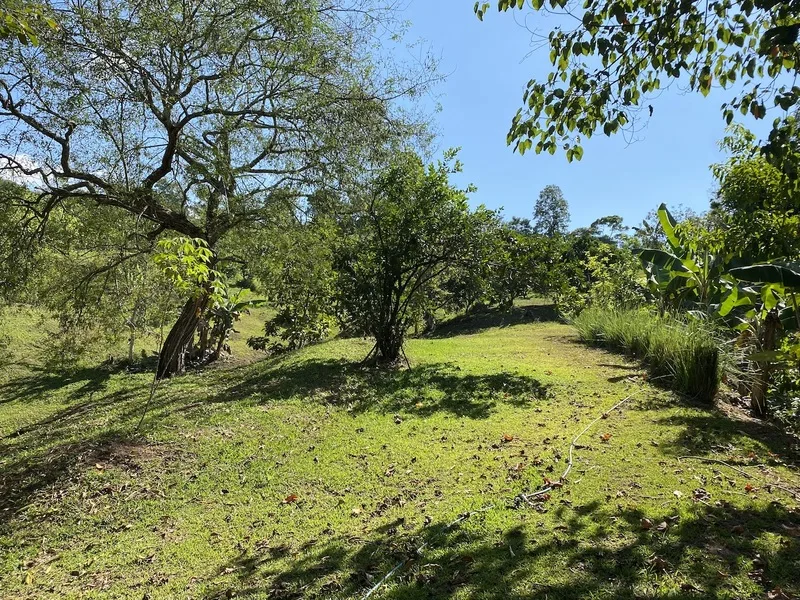 Land For Sale in Perez Zeledon, photo 13