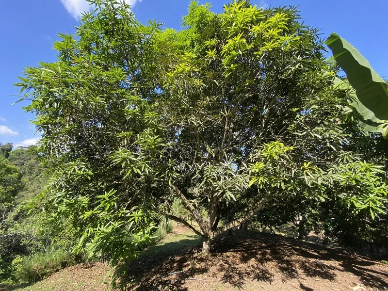 Land For Sale in Perez Zeledon, photo 15