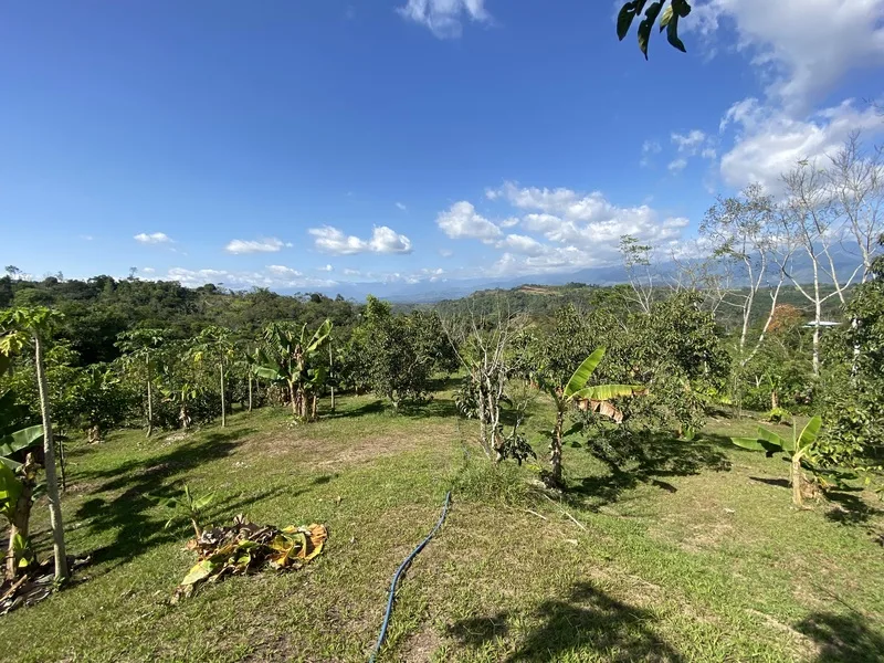 Land For Sale in Perez Zeledon, photo 7