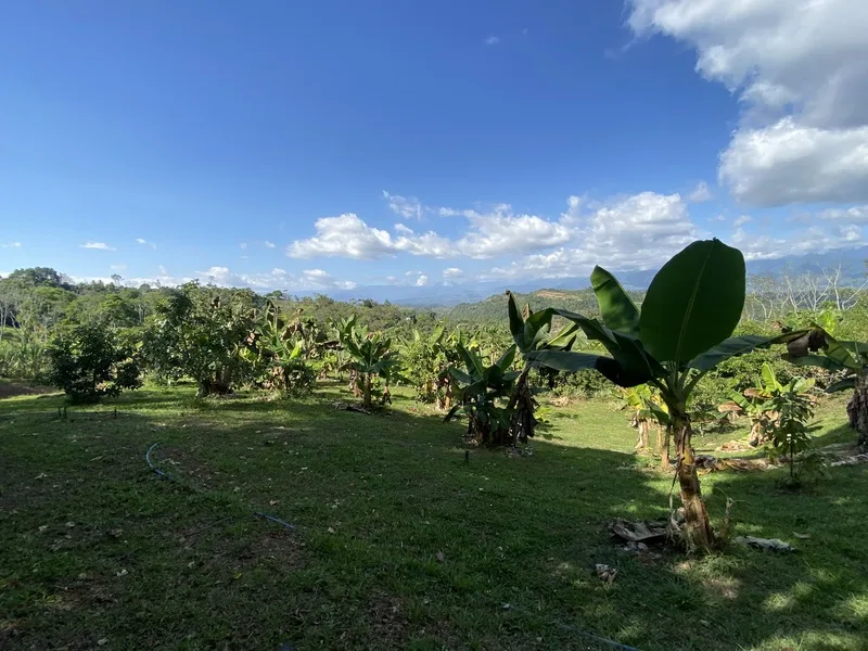 Land For Sale in Perez Zeledon, photo 8