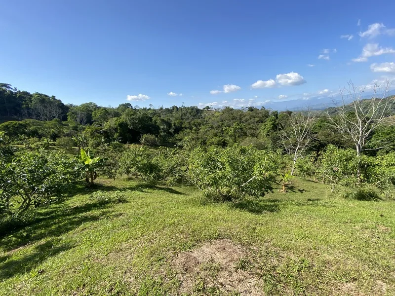 Land For Sale in Perez Zeledon, photo 9