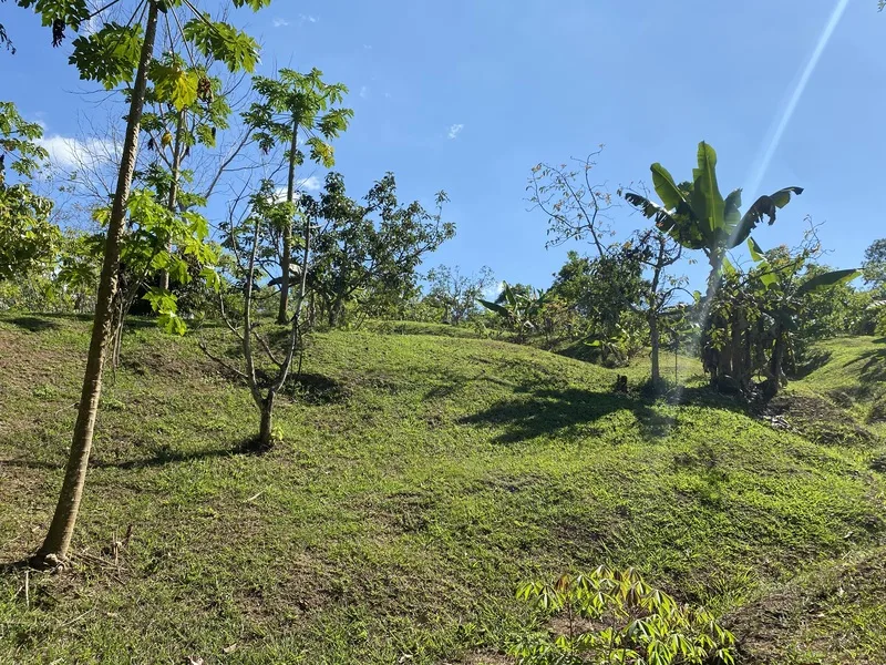 Land For Sale in Perez Zeledon, photo 10