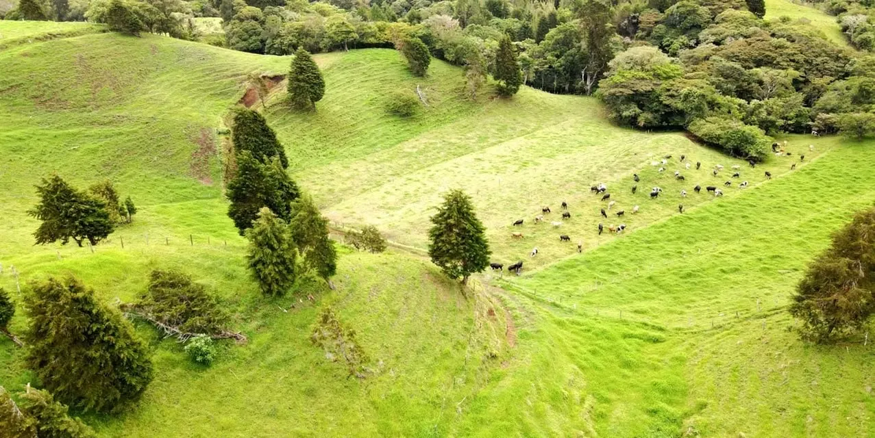 Farm in Moravia San Jose - 20 Hectares with Dairy Facility - Owner
