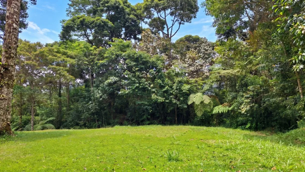 Sustainable End of the Road Mountain Estate for sale near Chirripó National Park, photo 15