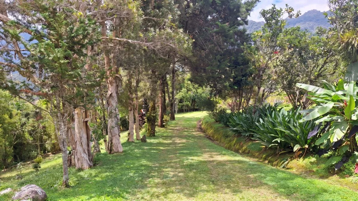 Sustainable End of the Road Mountain Estate for sale near Chirripó National Park, photo 3