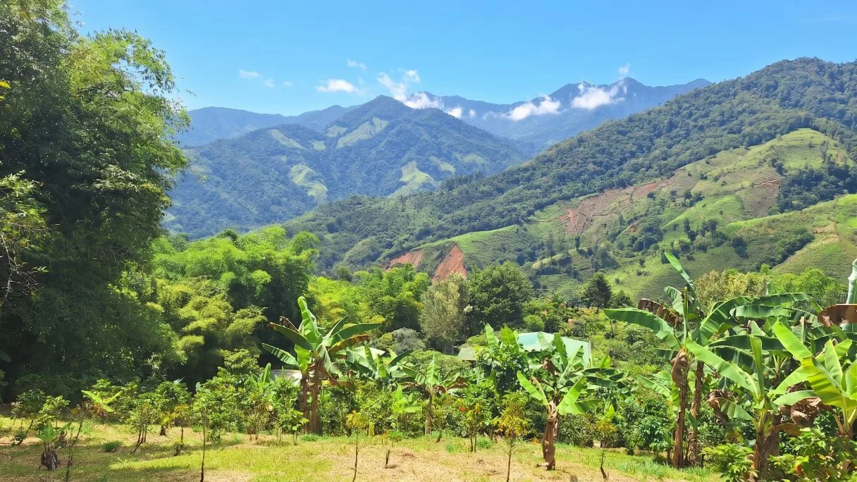 Sustainable End of the Road Mountain Estate for sale near Chirripó National Park, photo 4