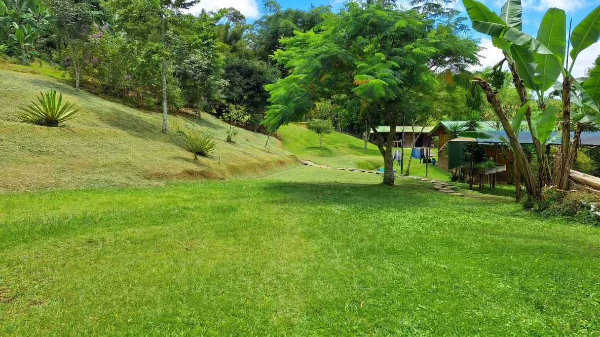 Sustainable End of the Road Mountain Estate for sale near Chirripó National Park, photo 5